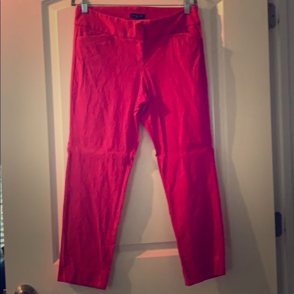 The Limited Bright Pink with Spandex